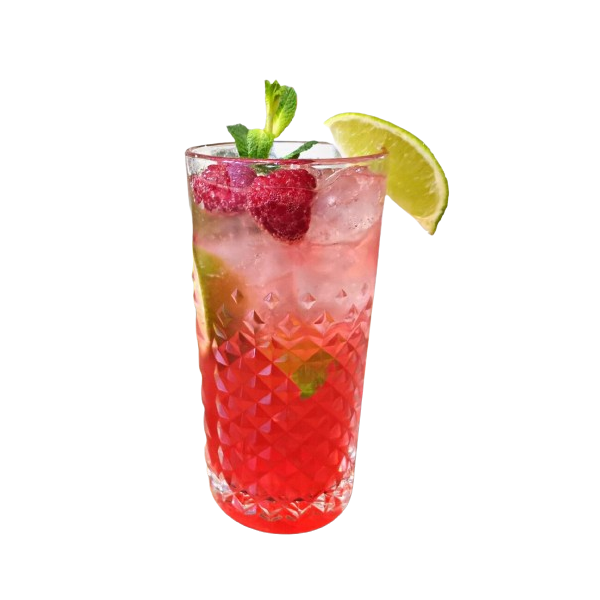 Raspberry Mojito