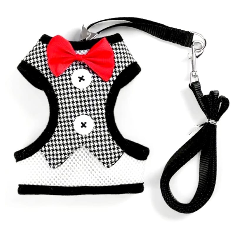 Puppy Dog Harness view 2