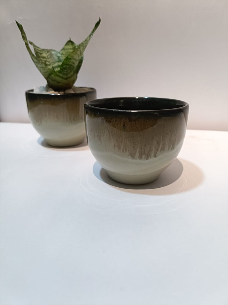 Small Snake Plant in Ceramic Pot view 2