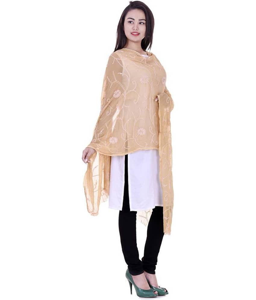 Apratim Khaki Chiffon Dupatta view 2