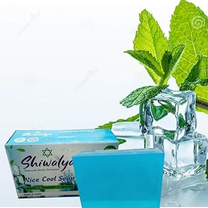 SHIWALYA Natural Cool Mint Soap || Handmade Bathing Soap || Herbal Soft & Radiant Skin || Suitable for All Skin Types (Pack of 4) view 2
