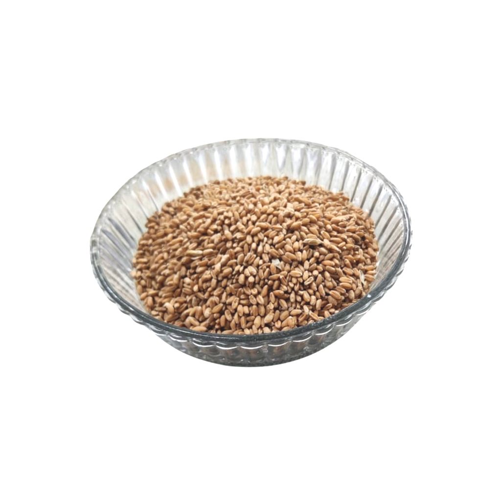 Wheat Grains view 2