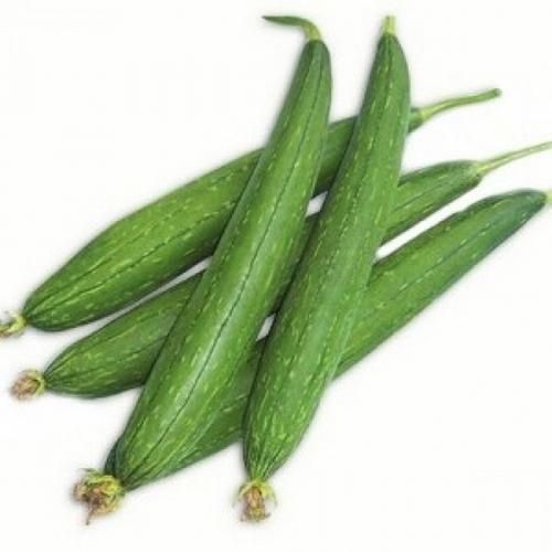 Spounge gourd 250 Gms