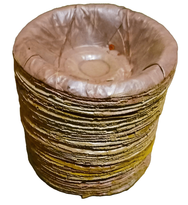 Eco-Friendly Leaf Bowls - Natural & Sustainable Disposable Tableware view 2