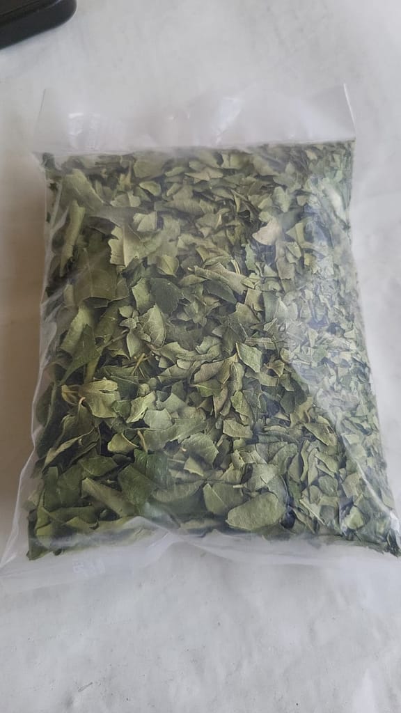 Curry Leaves view 2