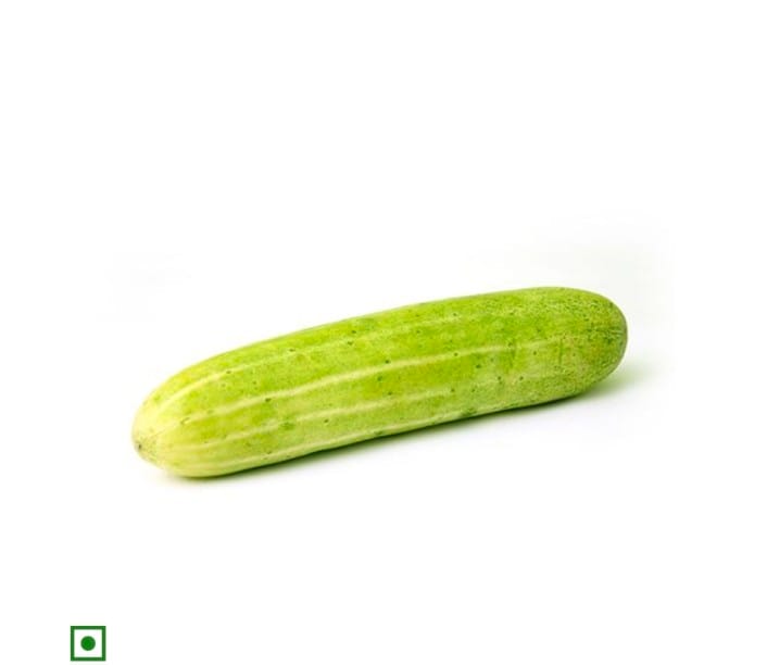 Cucumber organically grown view 2