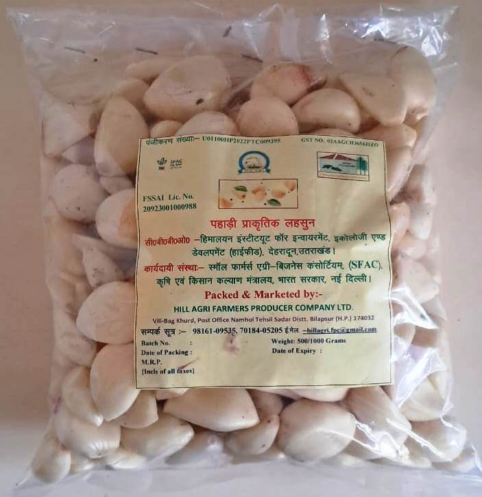 Peeled Garlic view 2