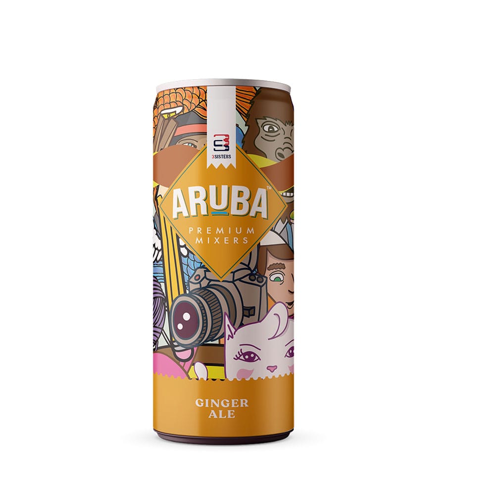 Aruba Mocktails & Cocktail Mixers - Ginger Ale (12 Cans x 250 ml - Makes 24 Drinks) - Alcohol Pairing For Gin, Vodka, etc