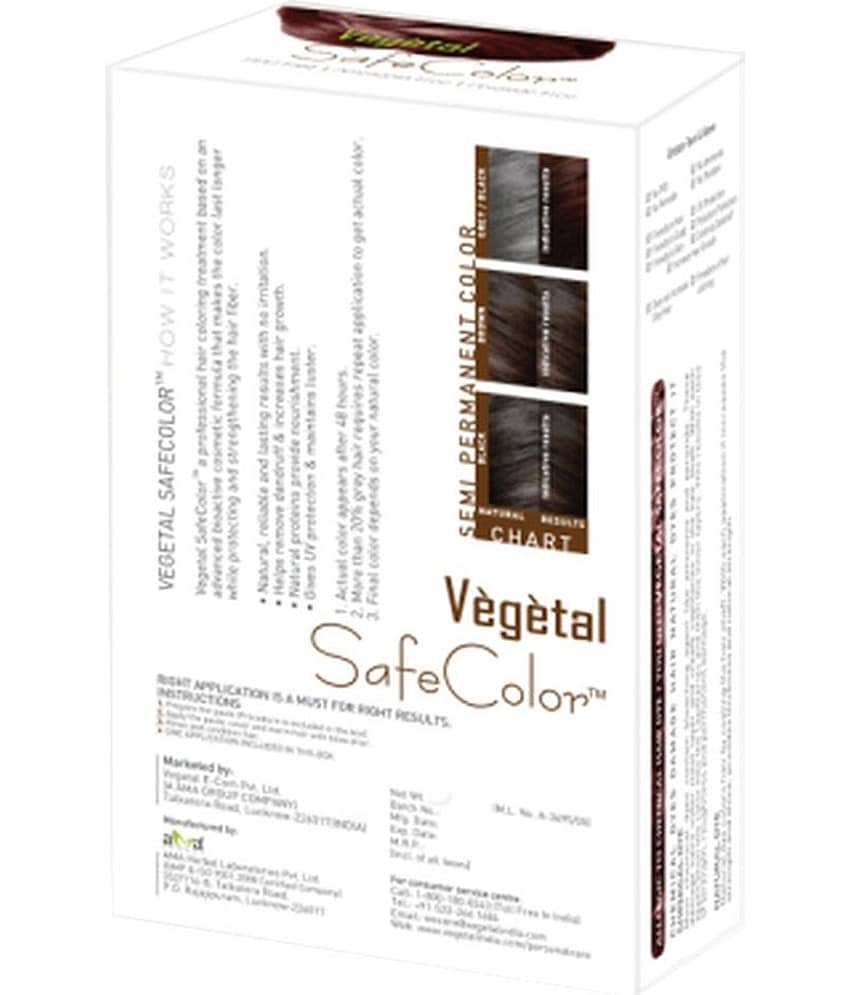 Vegetal Safe Hair Color - Burgundy 100gm view 2