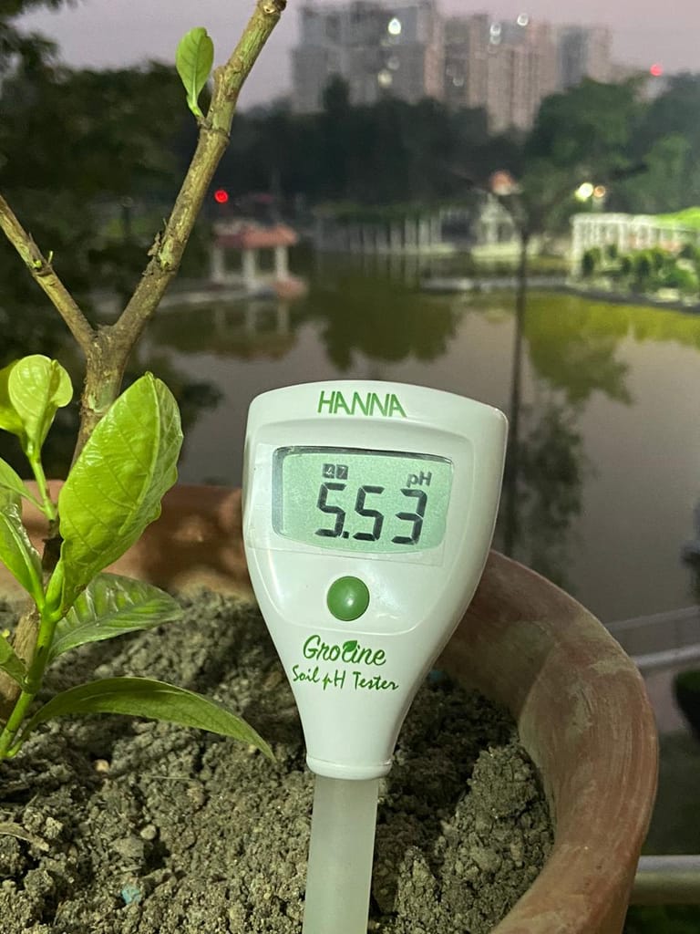 Soil Acidifier | Plant care system no 42 | Soil pH management | Suitable for organic gardening view 2