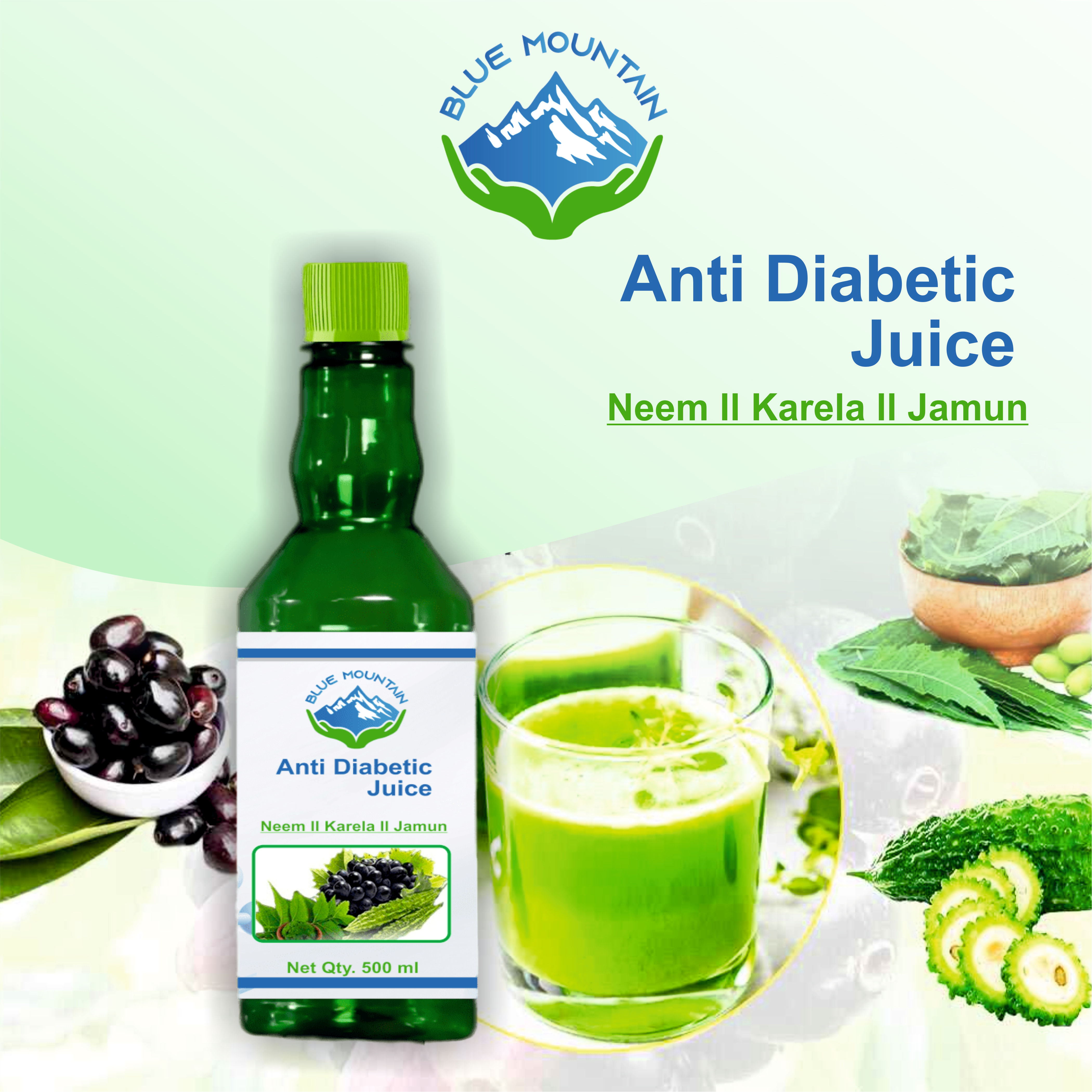 BLUE MOUNTAIN Neem, Karela & Jamun Juice, 500 ml view 2