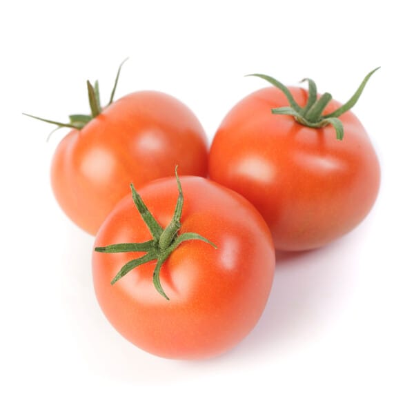 TOMATO view 2