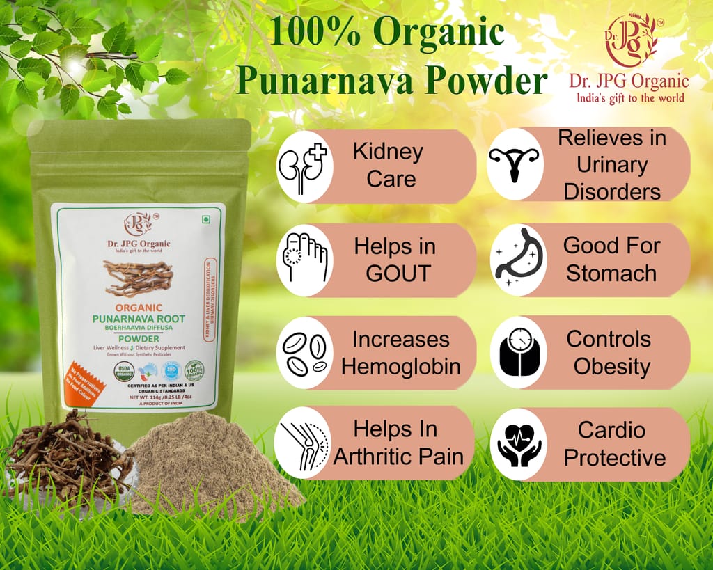Dr. JPG Organic herbals Punarnava Powder For Liver & Kidney Wellness | Sathi Jadd Boerhavia Diffusa | INDIA ORGANIC Certified | (114g Pack Of 2) view 2