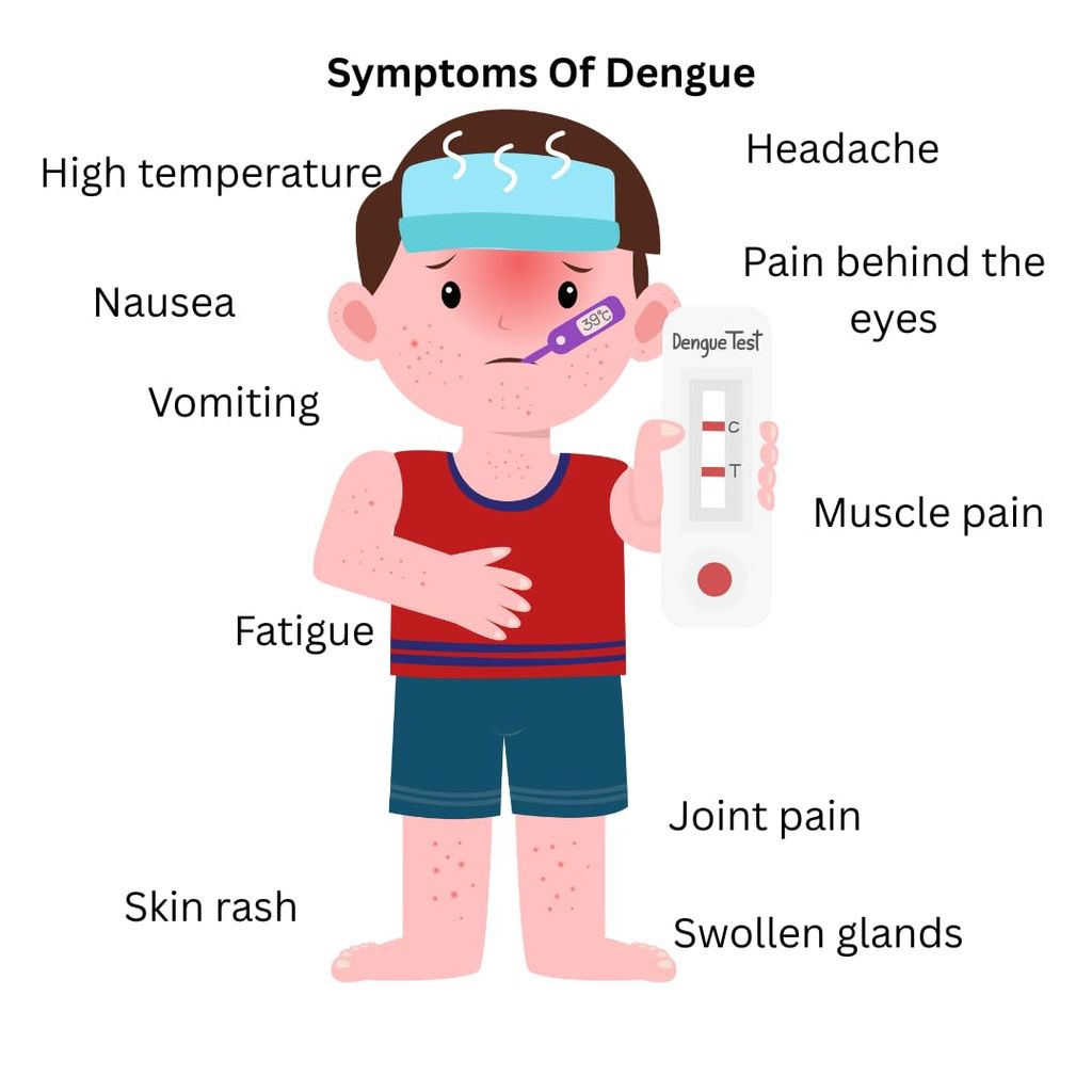 Dengue IgG/IgM Rapid Test Kit Pack of 10 Tests | High Sensitivity Diagnostic Cassette for Whole Blood, Serum, or Plasma Professional Lab Quality Results in 15 Minutes view 2
