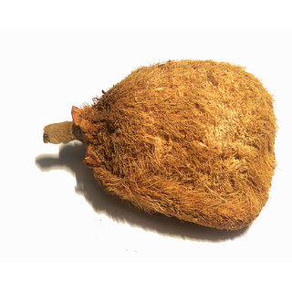 Ekakshi Nariyal (One Eyed Coconut) view 2
