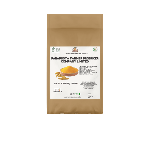Haldi Powder - 250g view 2