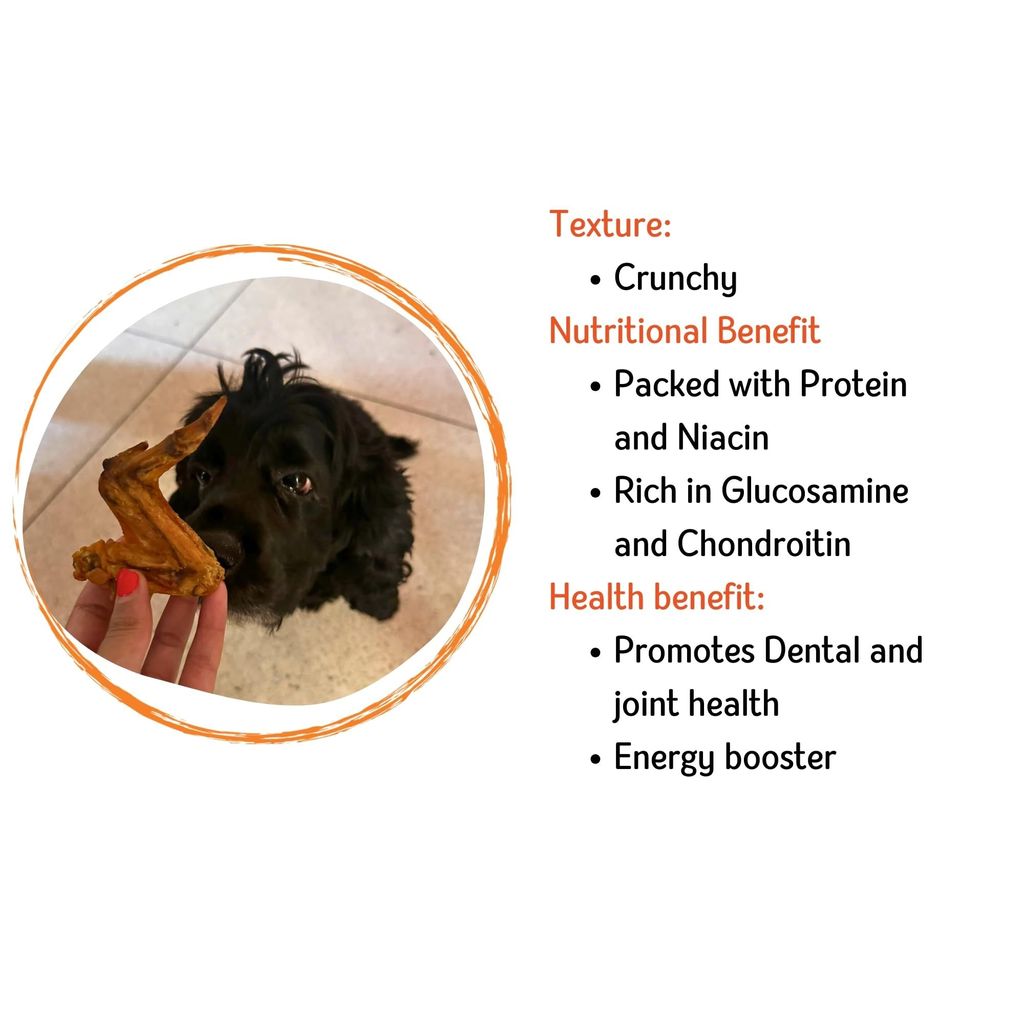 Nuts over Mutts Chicken Wings Dehydrated. Single ingredient dehydrated treat for dogs. All-natural, no preservatives, no chemicals. 1 pack (5 chicken wings) view 2