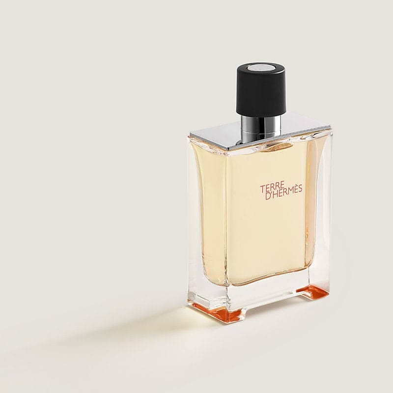 Hermes Terre D'Hermes Eau De Toilette Spray 100 ml view 2
