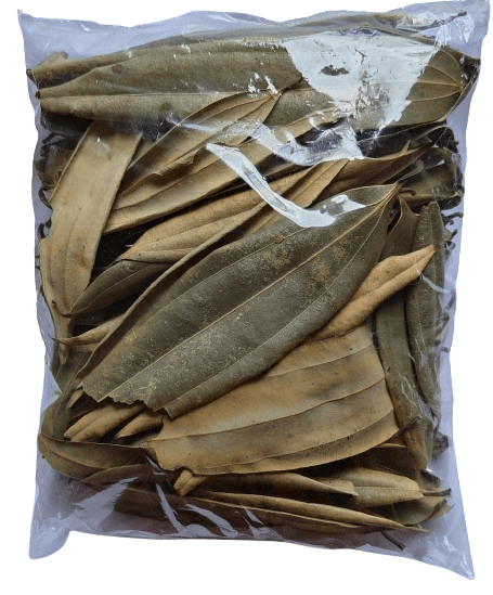 Tejpata (Bay Leaf) view 2