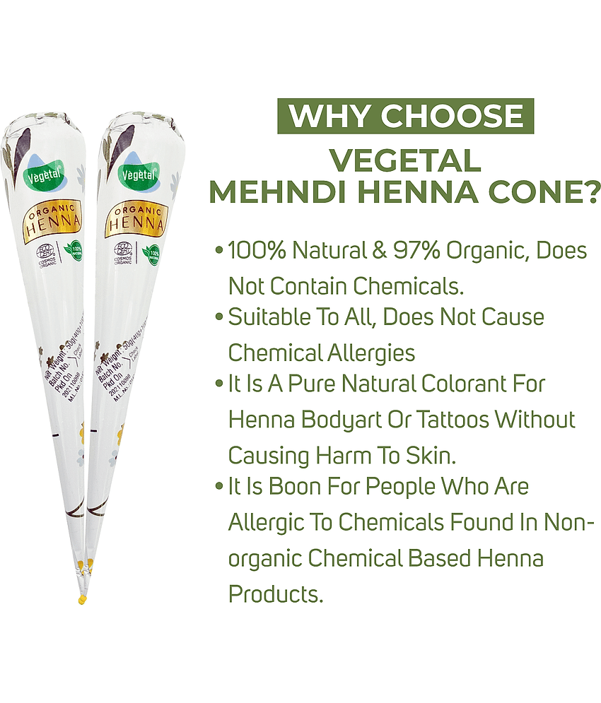 Vegetal Mehandi Henna Cone Natural Henna 50 g Pack of 3 view 2