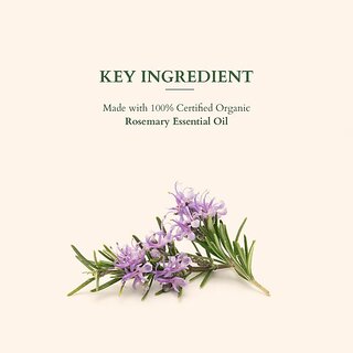 Lotus Organics+ Hair Fall Control Revival Mask (150 G) view 2