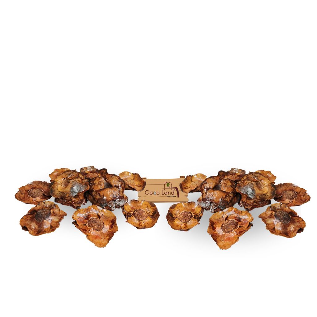 CocoLand Coconut Bunch Flower Pack of 12 Varnished /Dry Flower /Artificial Flower /Raw Flower