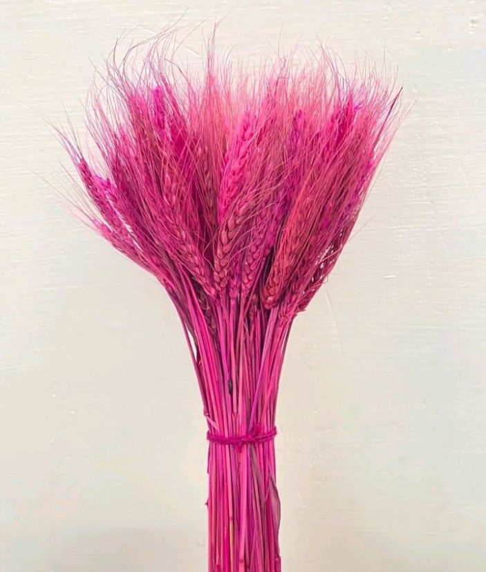 Nataral Dy Flowers 100 Sitck Artificial Dry Flowers view 2