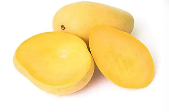 Falraaj Mango Banganapalli (1 Pcs)