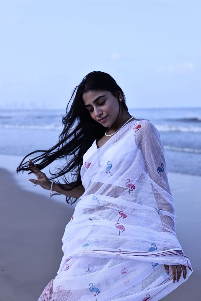 Kaisori Bagh Flamingo Kota blockprinted silk cotton saree view 2