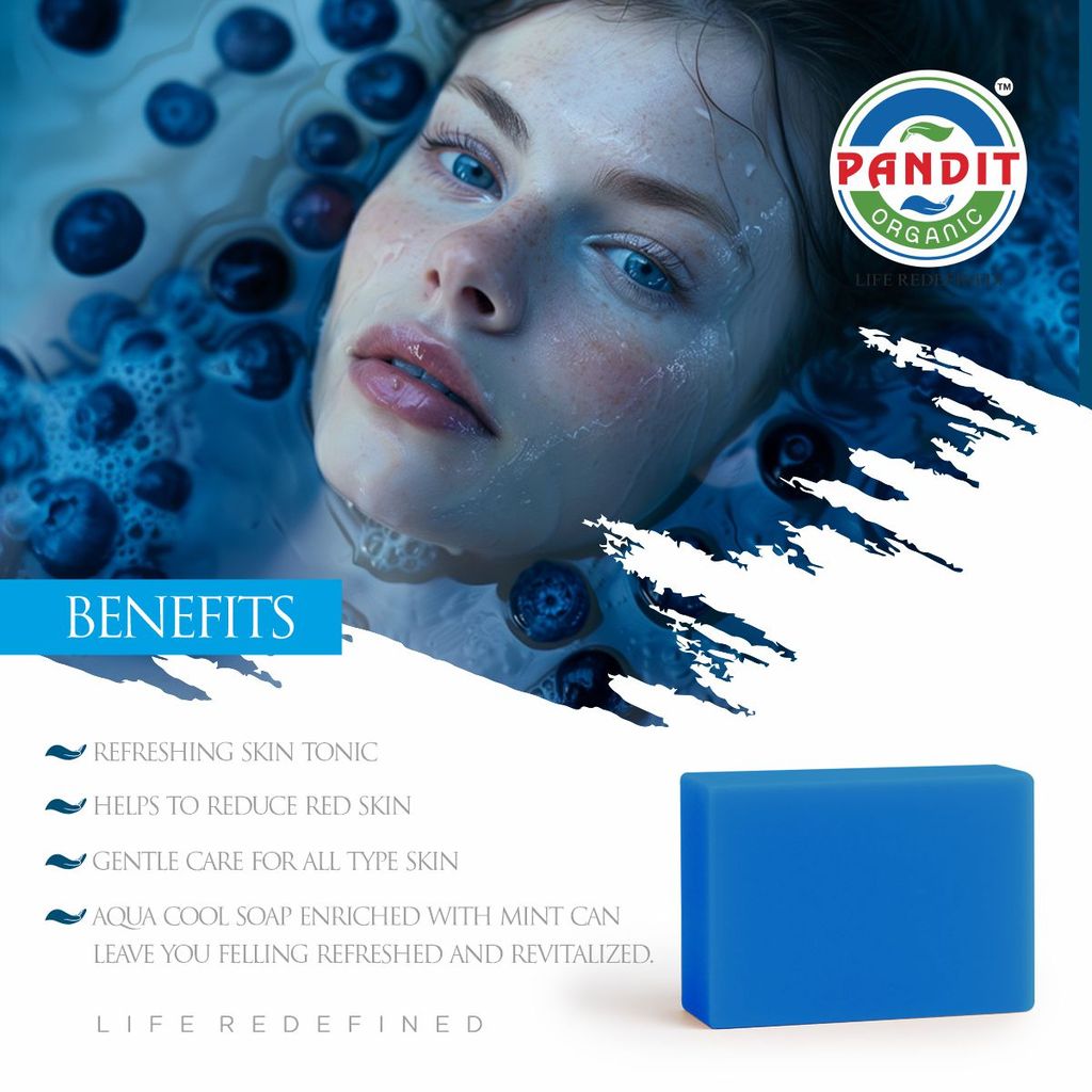 Aqua Cool Organic Handmade Soap Bar (Value Pack - 100 g) – Cold-Pressed Oils, Pure Glycerin & Natural Botanicals, Sulfate & Paraben Free, Ayurvedic Herbal Cleanser for All Skin Types – Deep Cleansing & Moisturizing view 2