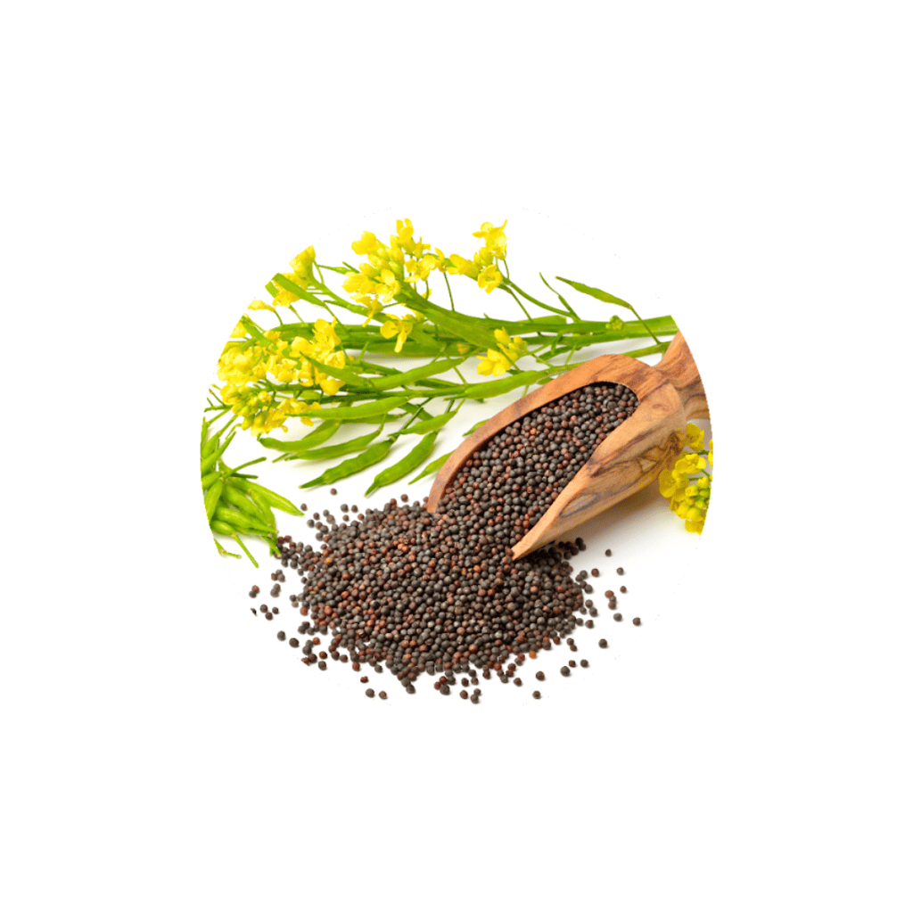 WOOD PRESSED MUSTARD OIL 1000ML view 2