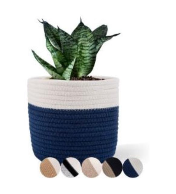 Generic Cotton Flower Pot With Out Lid (White-Blue)-PID66471 view 2