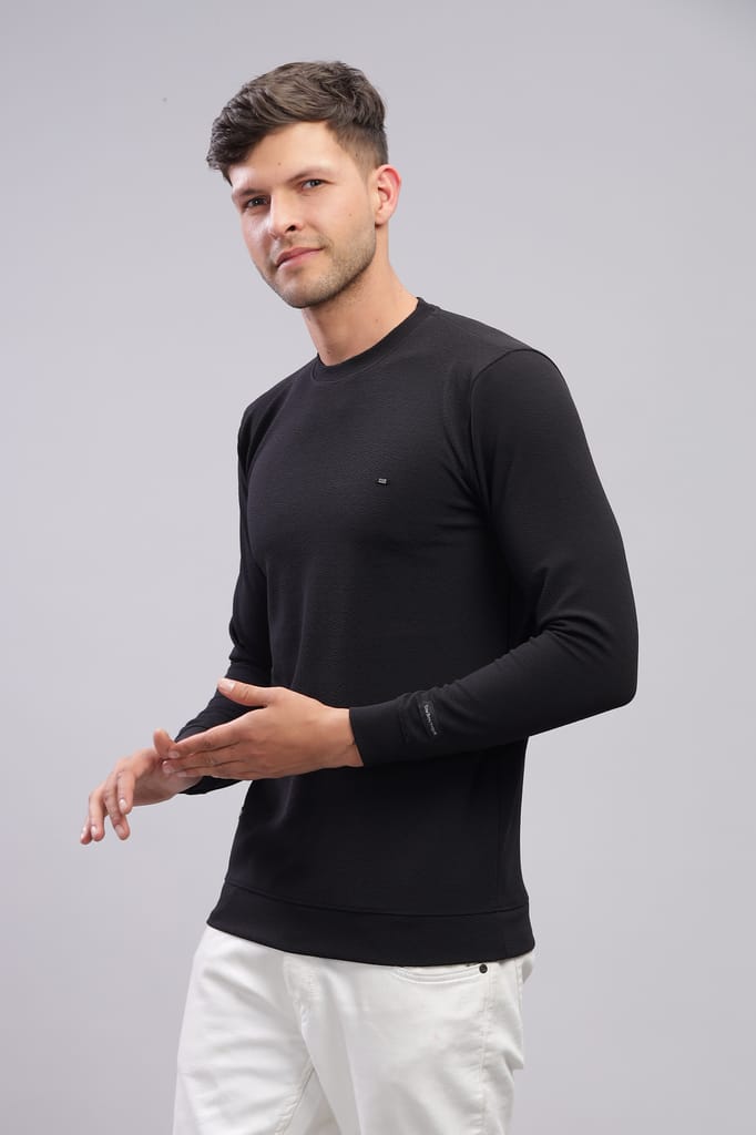 Men Solid Round Neck Polyester T-Shirt view 2