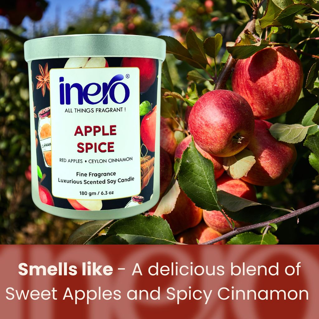 Apple Spice Scented Soy Candle view 2