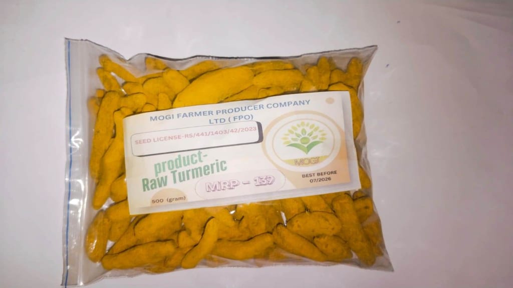 Processed Turmeric view 2