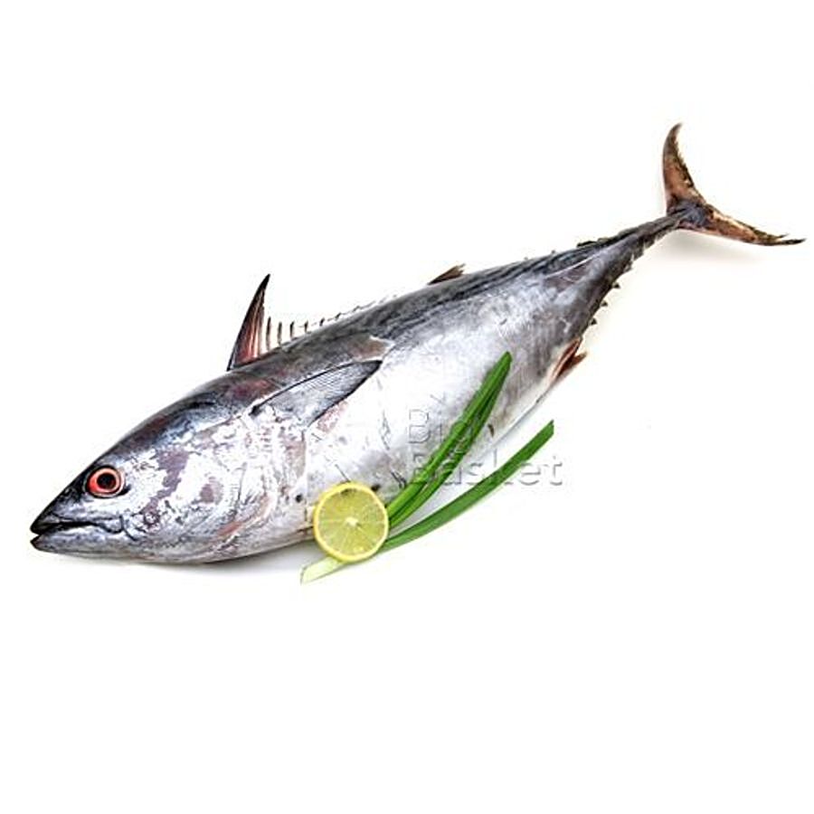Tuna Surai 1 Kg
