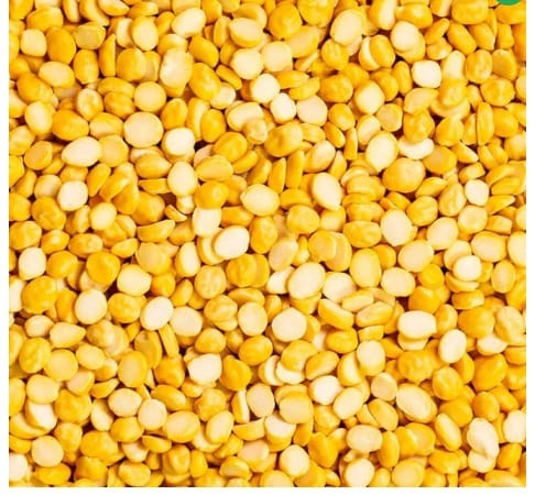 BENGAL GARM DHAL view 2