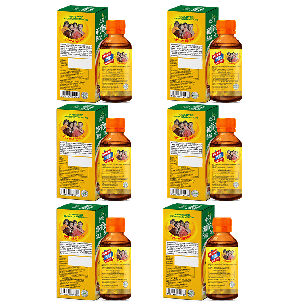 Kudos Kasolin Ginger Syrup | Ayurvedic Medicine for Cough & Sore Throat Relief | 100 ml | Pack of 6 view 2