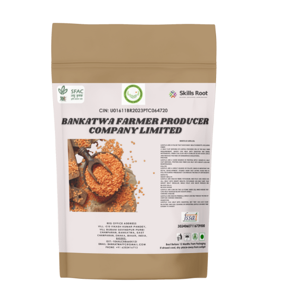 Lentil Pulse
