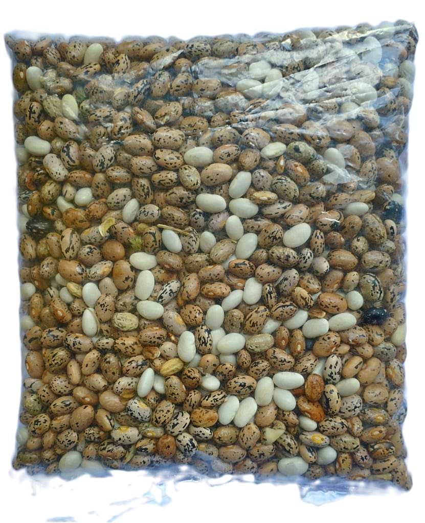 RAJMA SMALL (KIDNEY BEANS) view 2