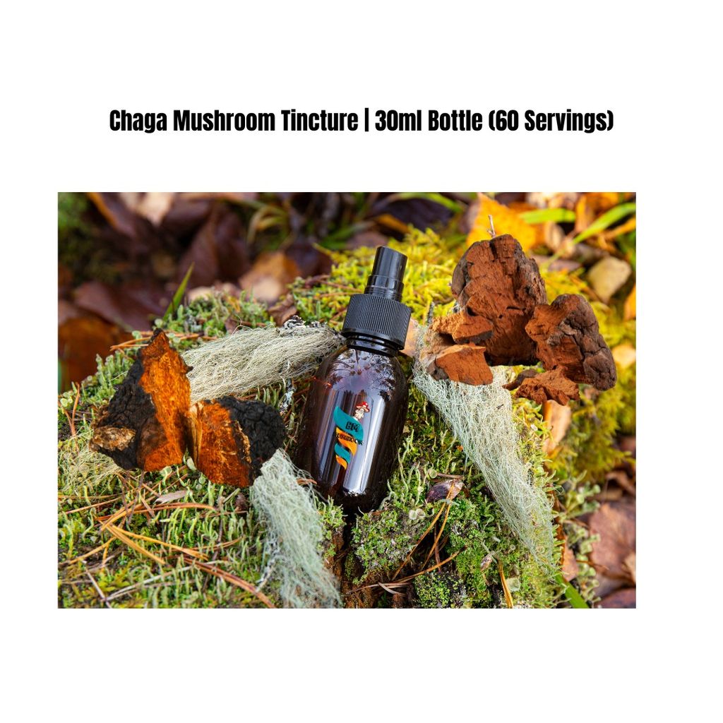 Chaga Mushroom Tincture | 30ml Bottle (60 Servings) view 2