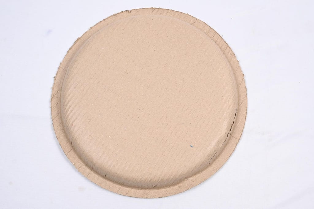 SONCHIRAIYA Leaf Biodegradable Disposable Combo of Round Plates (Pack of 50) view 2
