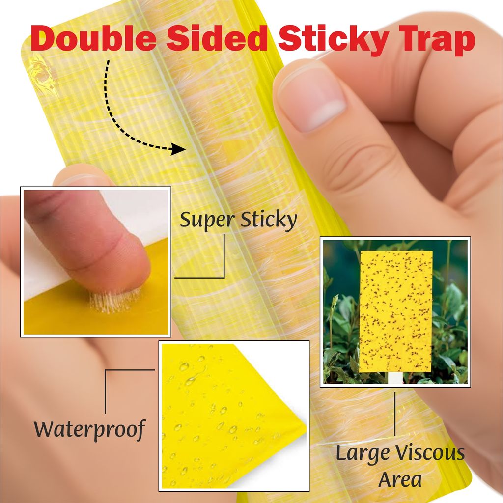 Garden Genie Yellow Sticky Trap for Insects 10 Traps (150x200mm) | Double Sided Glue Trap/Fly Trap/Insect Catcher/Sticky Pads for Flying Insects, Thrips, White Flies Etc | Suitable for Gardens & Farms view 2