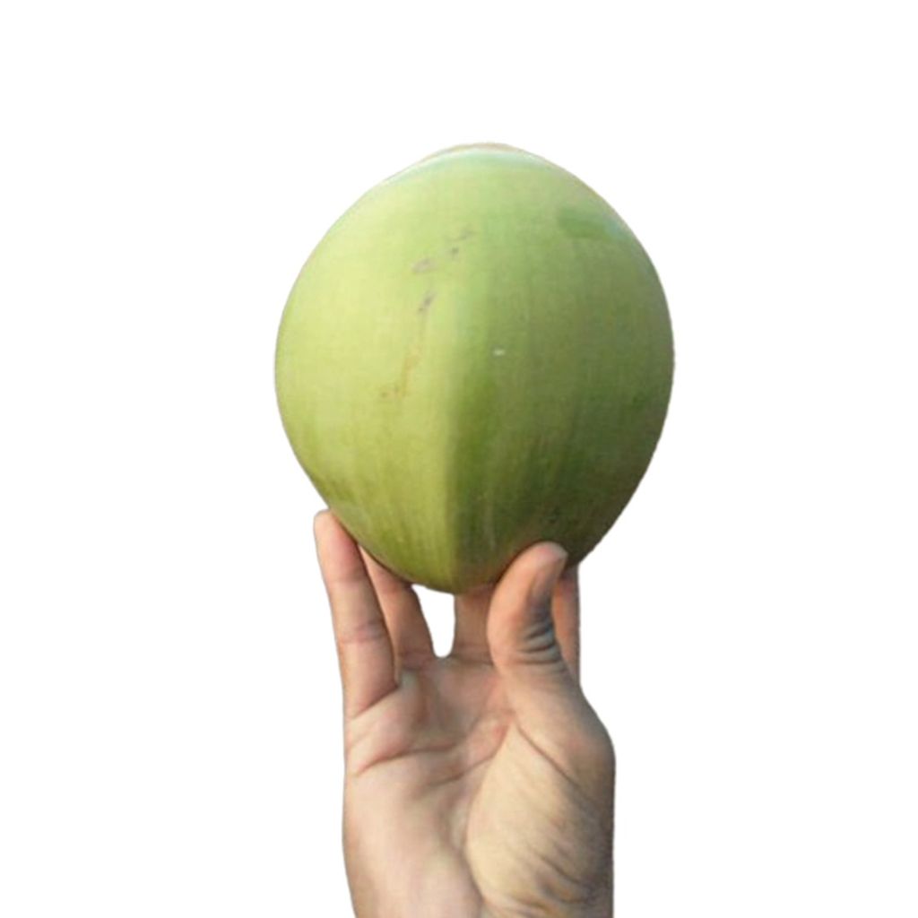 Super Saver ( Get pack of 5 Coconuts ) view 2