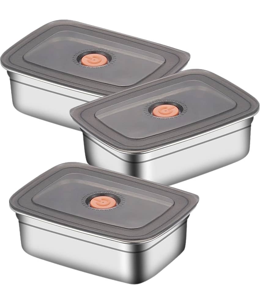 RAVISTRA Fridge Storage box Steel Silver Food Container ( Set of 3 )