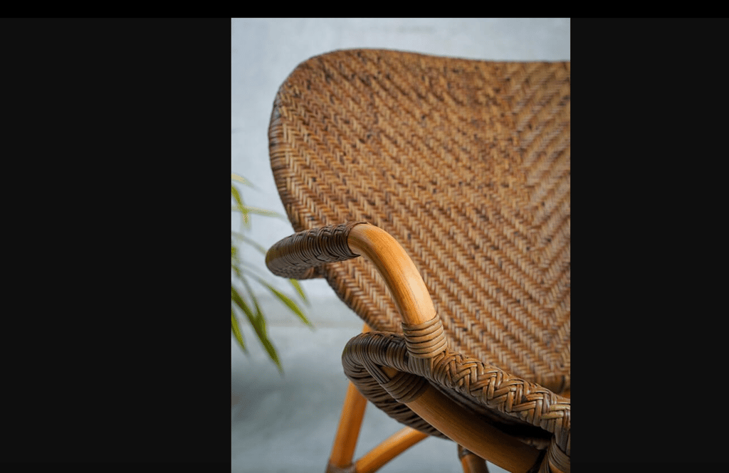 Rattan Haven Lounge Chair view 2