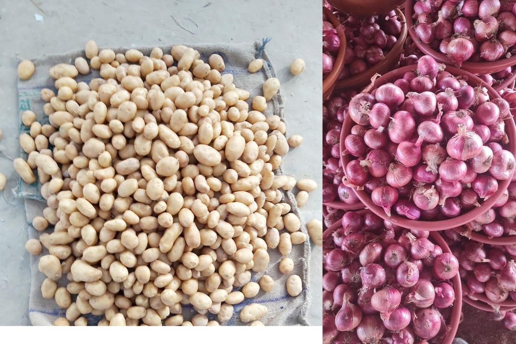 Combo Pack Onion 10kg and Potato ( Sugar free chipsona )10 kg view 2