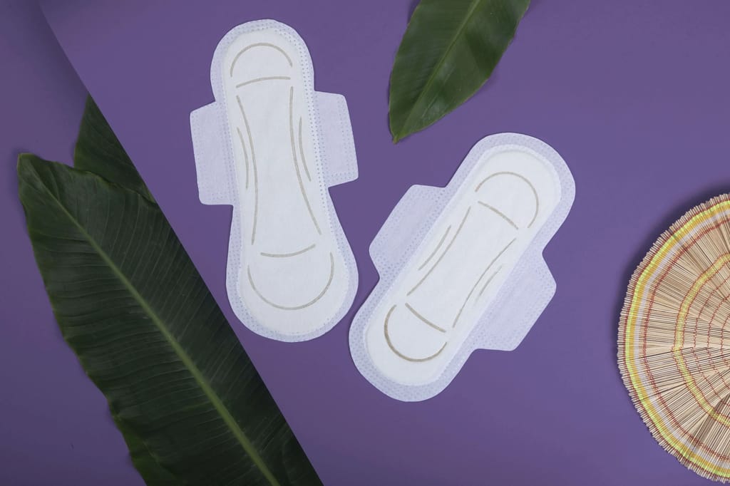 Sanitary Pads Banana Fiber view 2