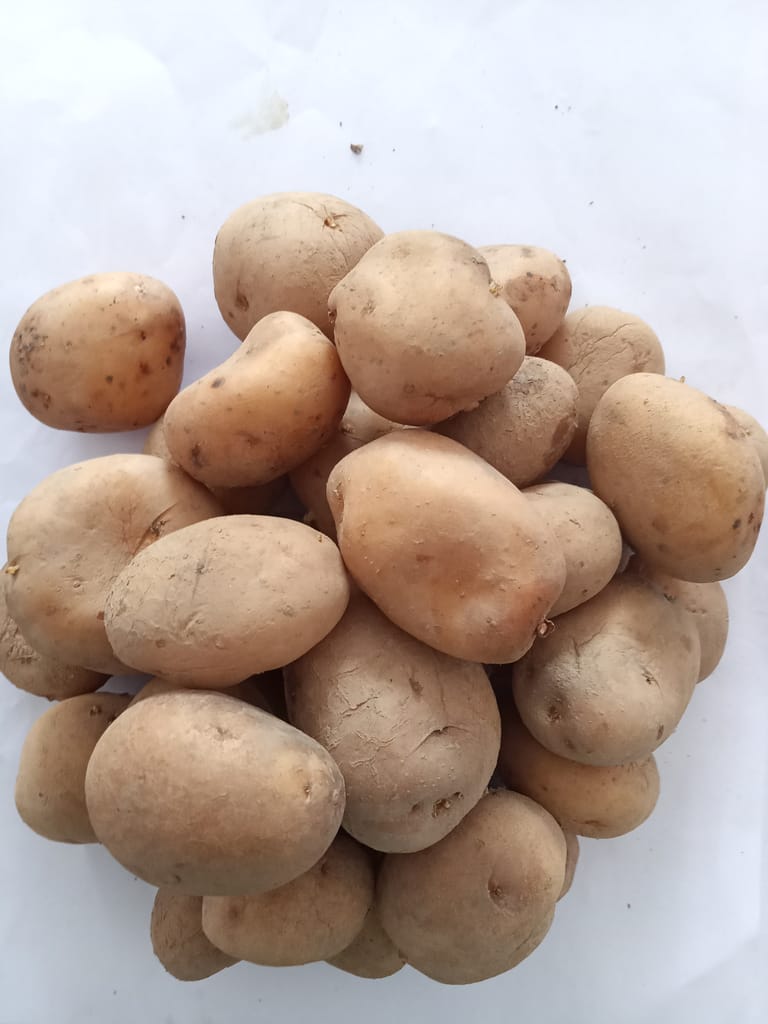 Joti Potato 2 Kg view 2