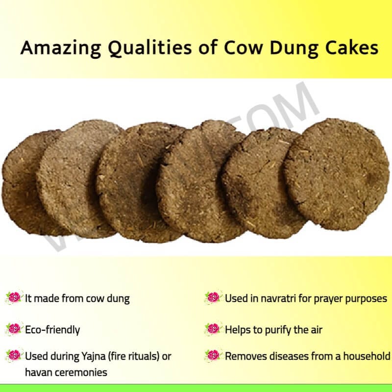 COW DUNG CAKE view 2